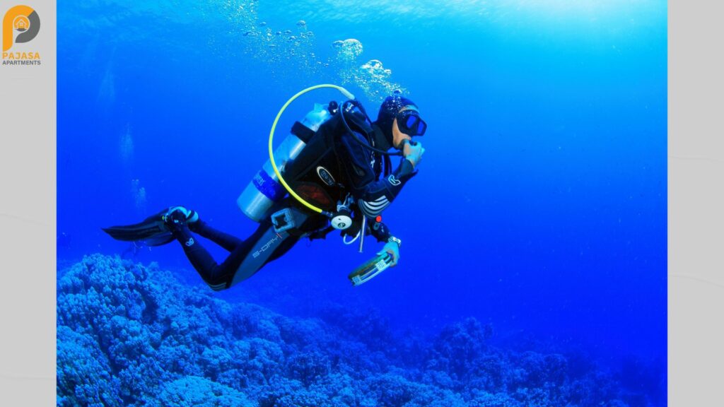 Scuba Diving By PAJASA