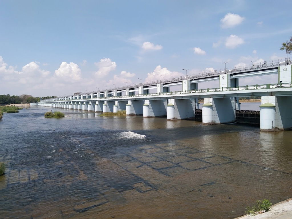 Mukkombu in Upper Anaicut, Trichy by PAJASA