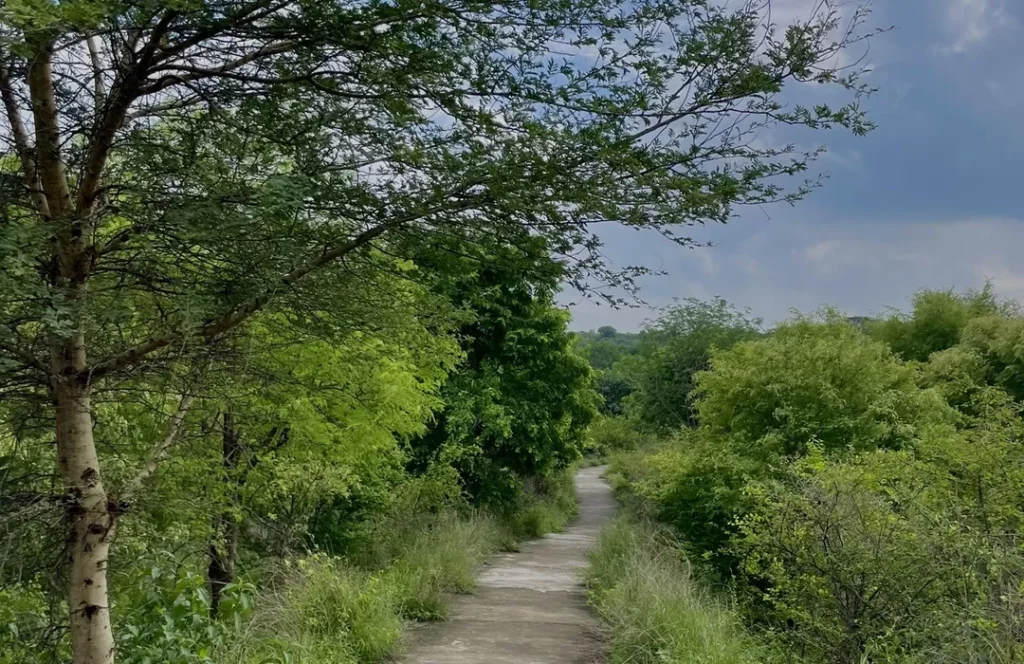 Aravalli Biodiversity Park in Gurugram by PAJASA