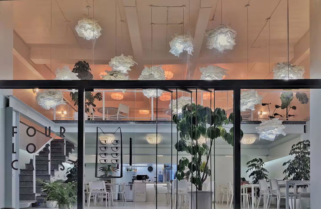 Four Lost Cats in Nashik information and details by PAJASA