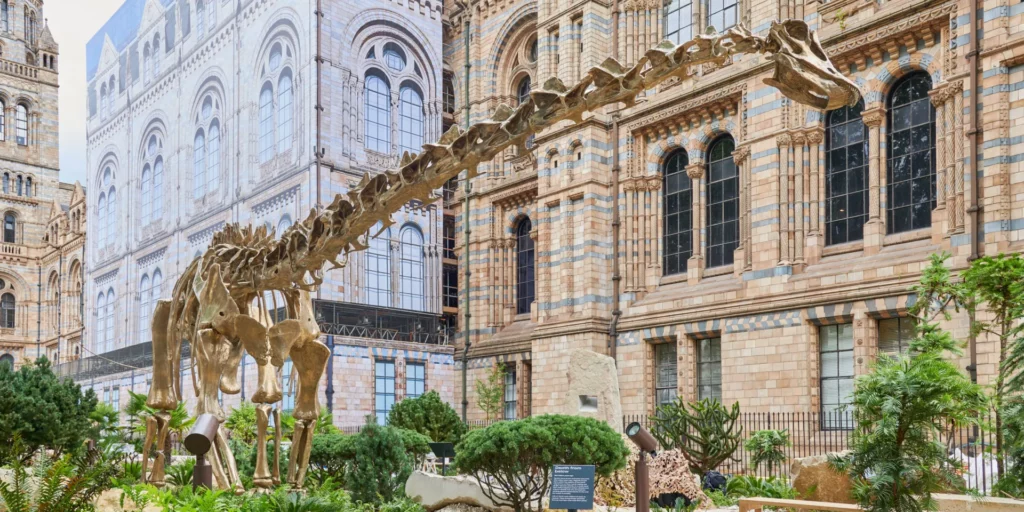 Natural History Museum in London by PAJASA