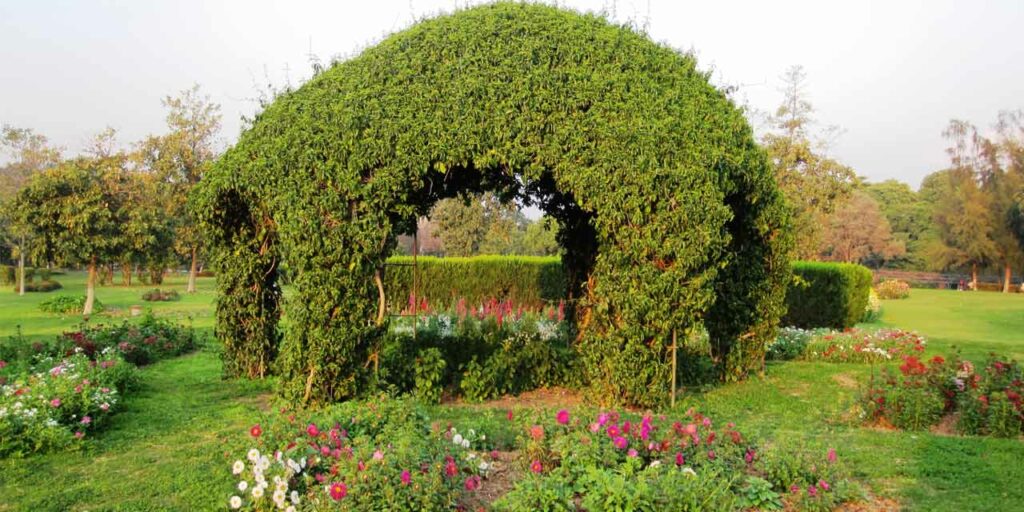 Leisure Valley in Chandigarh