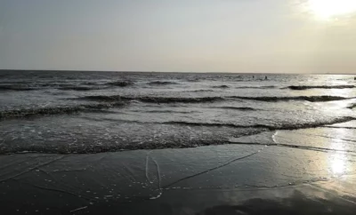 1 BHK Service Apartments in Miami