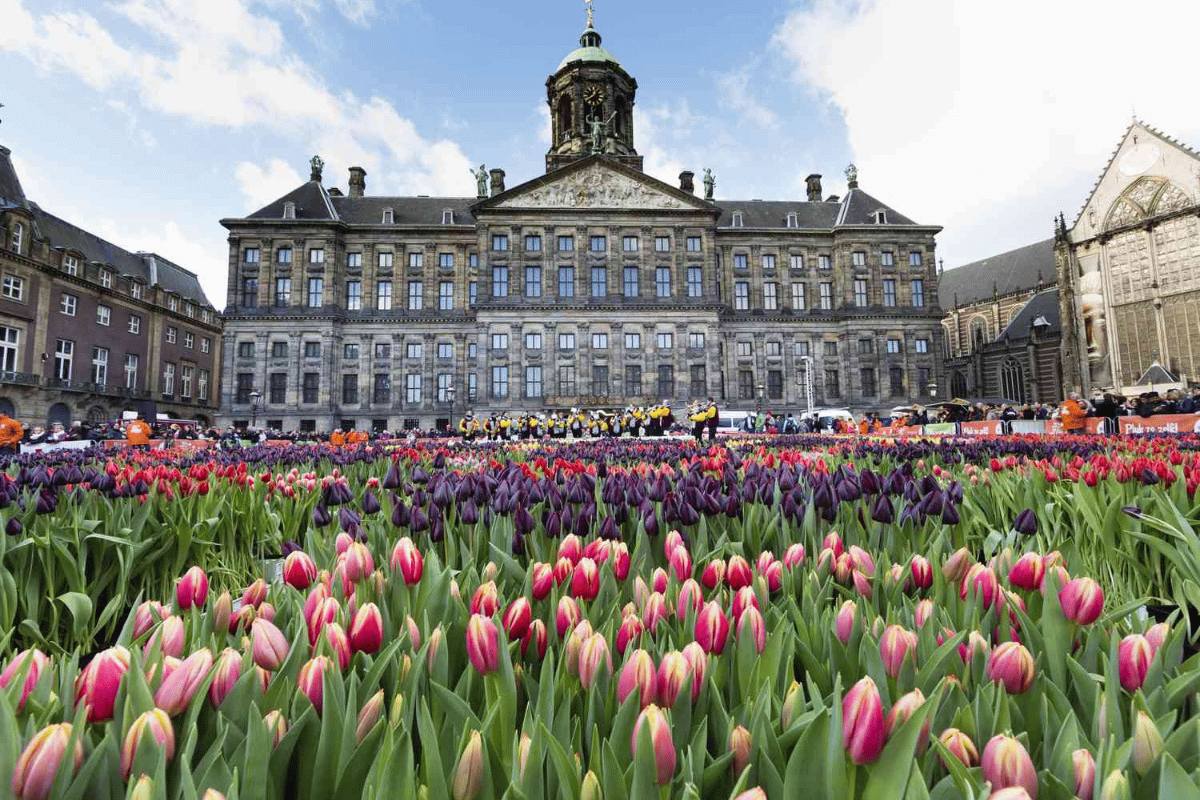 Royal Palace of Amsterdam
