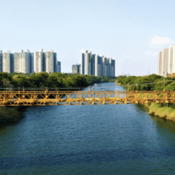Hinjewadi - PAJASA Apartments Serviced apartments in Hinjewadi Pune near Rajiv Gandhi Infotech Park